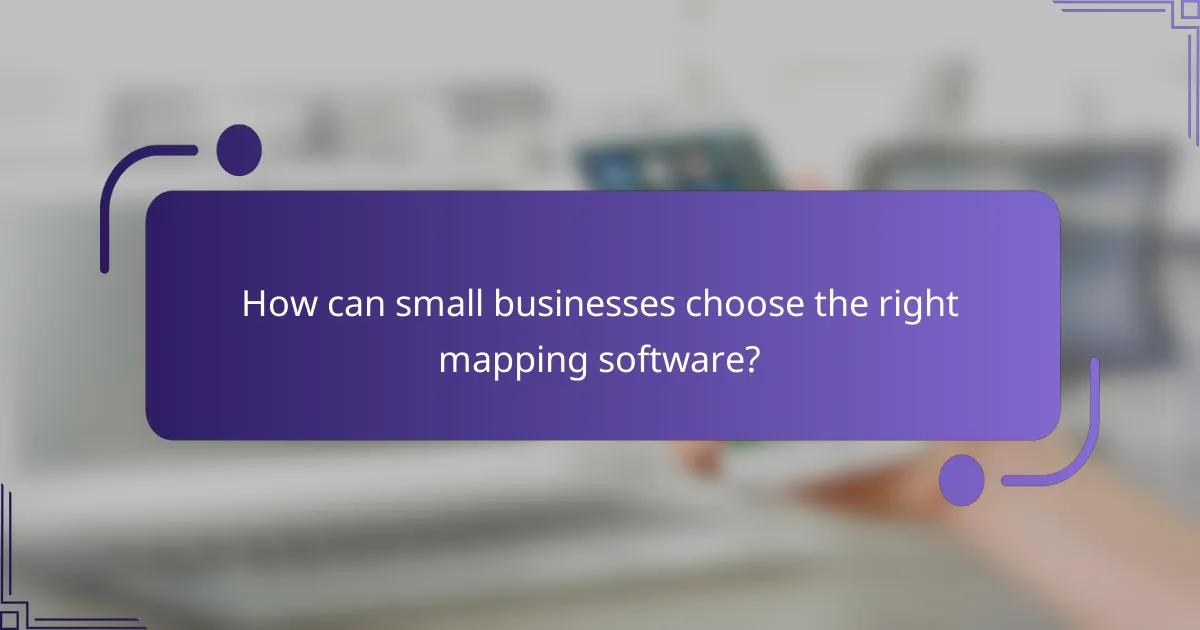 How can small businesses choose the right mapping software?