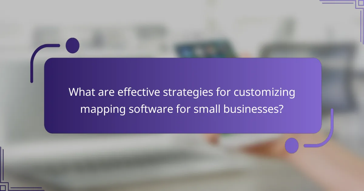 What are effective strategies for customizing mapping software for small businesses?