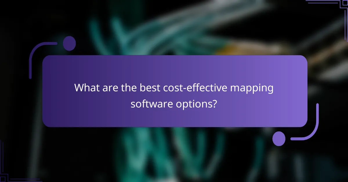 What are the best cost-effective mapping software options?