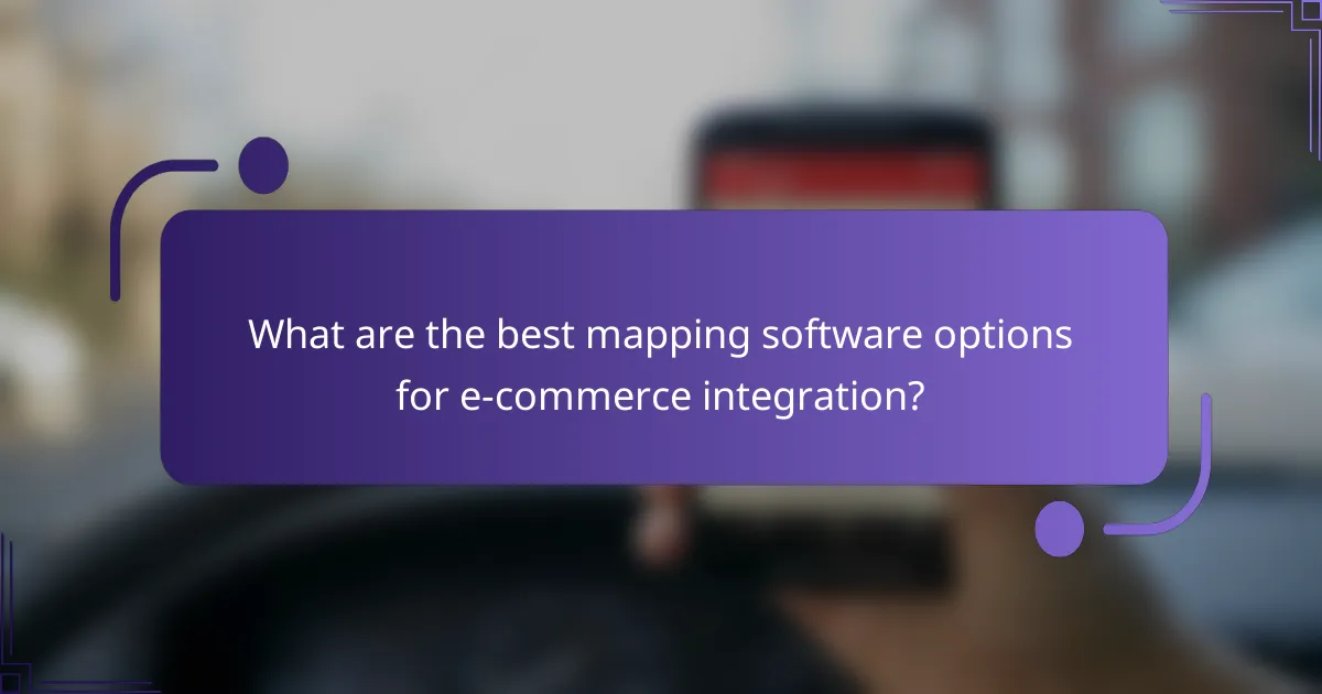 What are the best mapping software options for e-commerce integration?