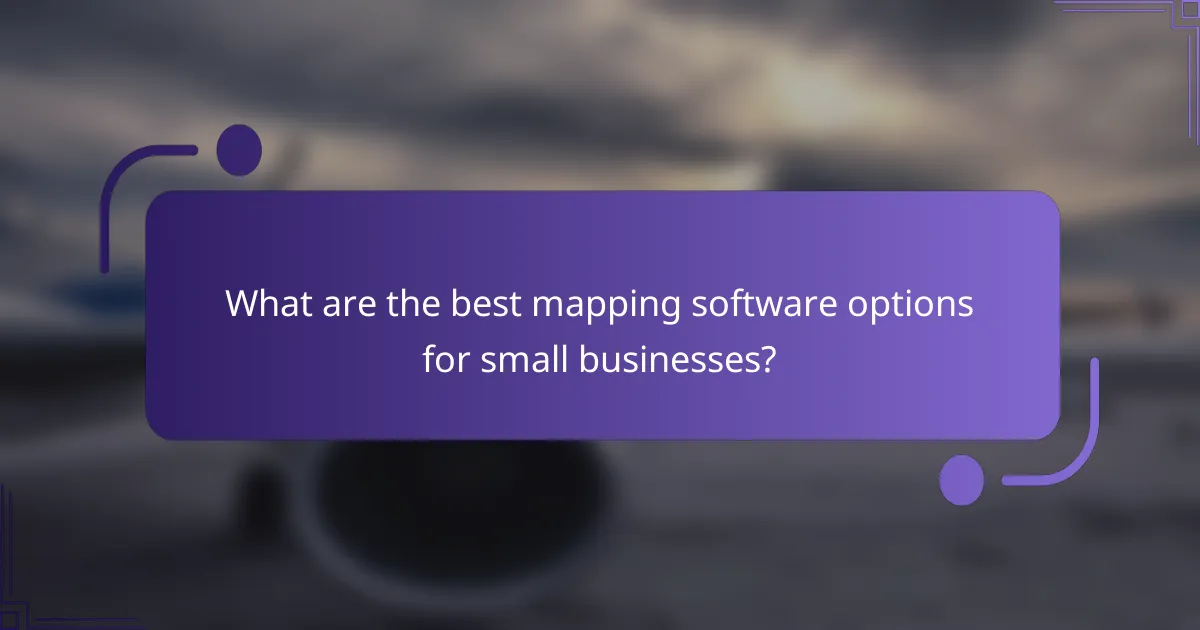 What are the best mapping software options for small businesses?