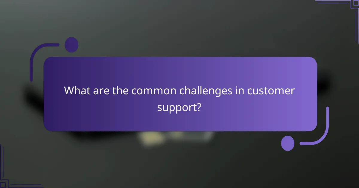 What are the common challenges in customer support?