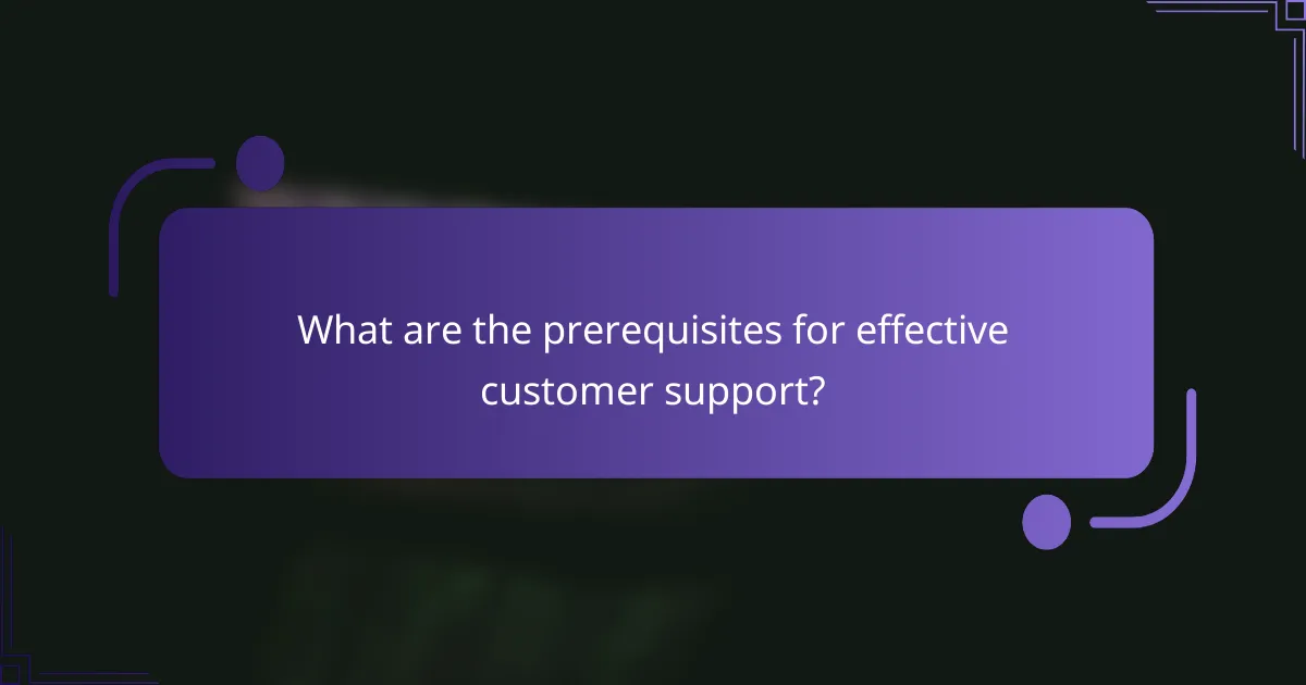 What are the prerequisites for effective customer support?