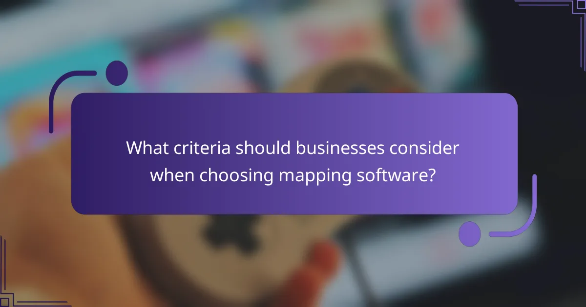 What criteria should businesses consider when choosing mapping software?