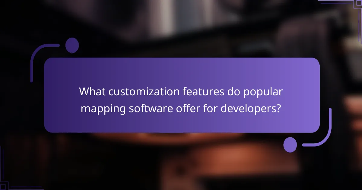 What customization features do popular mapping software offer for developers?